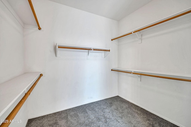 11318 W Monte Vista Rd, Avondale, AZ 85392 - walk in closet featuring carpet floors