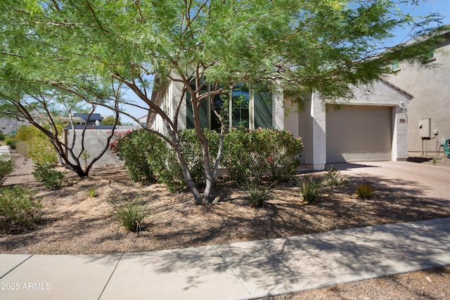 20644 W Mariposa St, Buckeye, AZ 85396 - view of property hidden behind natural elements featuring stucco siding, driveway, and an attached garage
