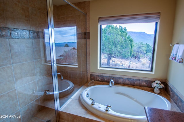 6641 W Wolfpaw Ln, Pine, AZ 85544 - bathroom featuring a garden tub, a stall shower, and a mountain view