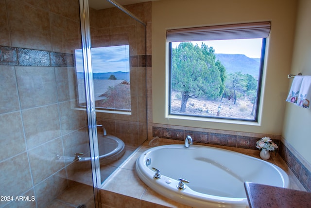 bathroom with a mountain view, plus walk in shower, and a healthy amount of sunlight