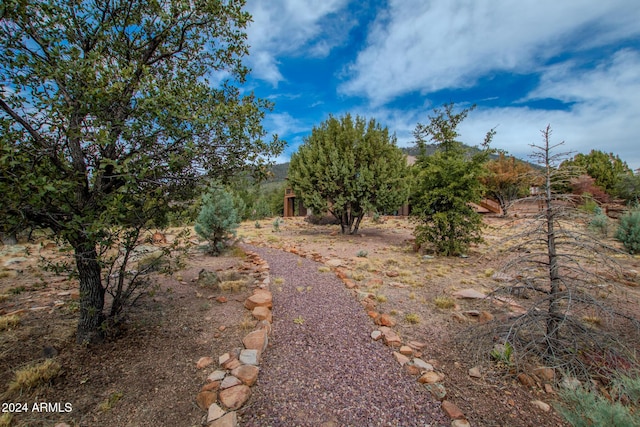 6641 W Wolfpaw Ln, Pine, AZ 85544 - view of yard