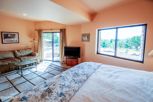 carpeted bedroom with access to outside and multiple windows