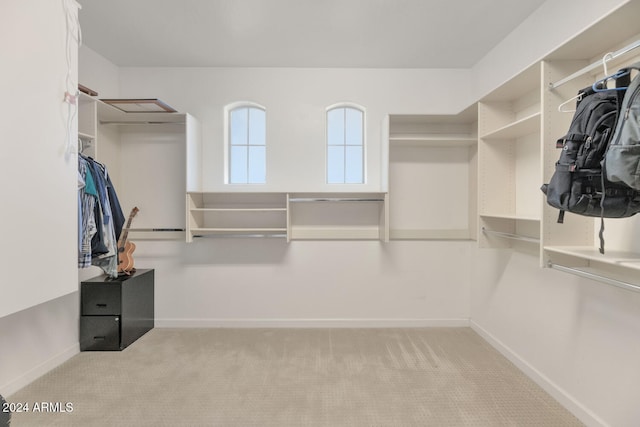 spacious closet with light carpet