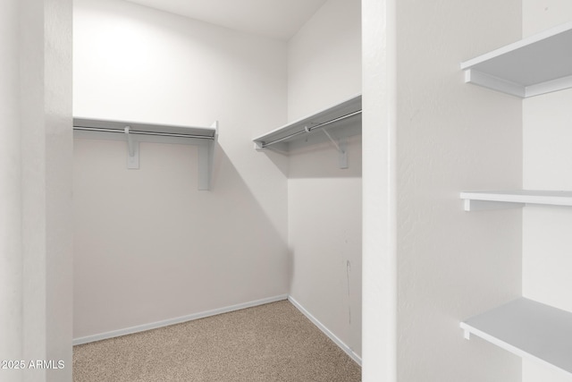 5269 E Gummite Dr, San Tan Valley, AZ 85143 - walk in closet with carpet flooring