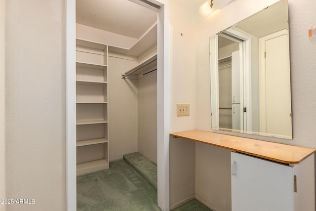 walk in closet with carpet floors