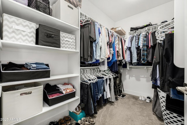1567 W Camina Plata, San Tan Valley, AZ 85140 - spacious closet with carpet