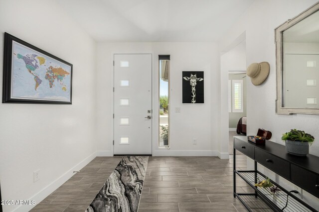 1567 W Camina Plata, San Tan Valley, AZ 85140 - foyer entrance featuring wood tiled floors and baseboards