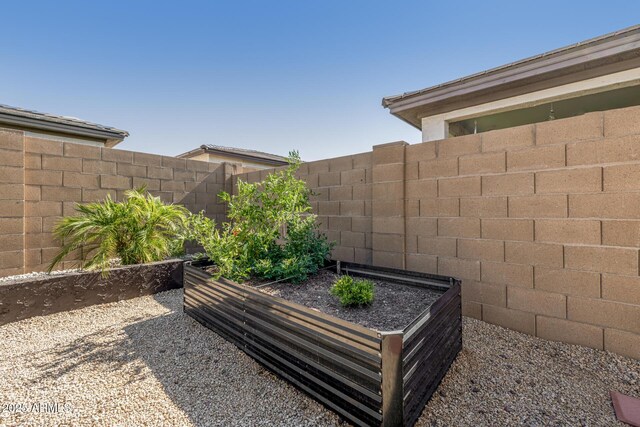 1567 W Camina Plata, San Tan Valley, AZ 85140 - exterior view of a garden
