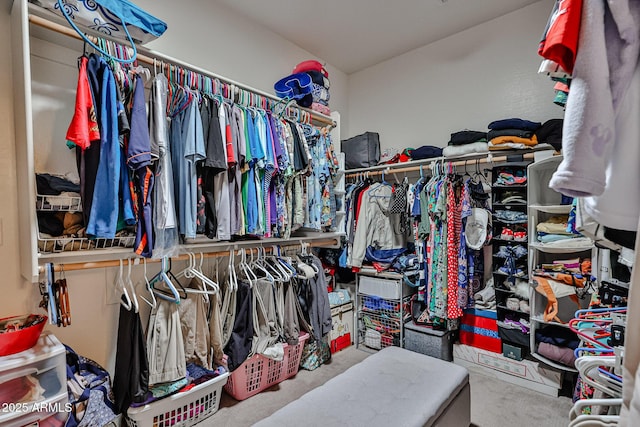 spacious closet featuring carpet flooring