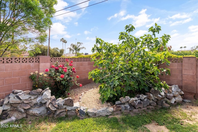 view of yard featuring a fenced backyard