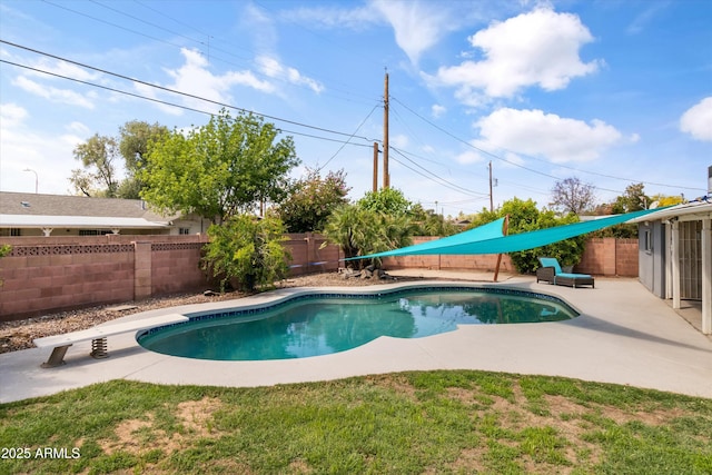 view of pool featuring a fenced backyard, a patio area, and a fenced in pool