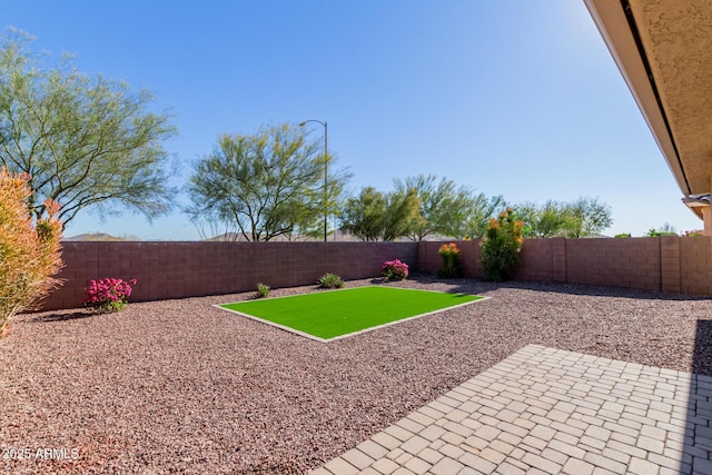 view of yard featuring a patio area