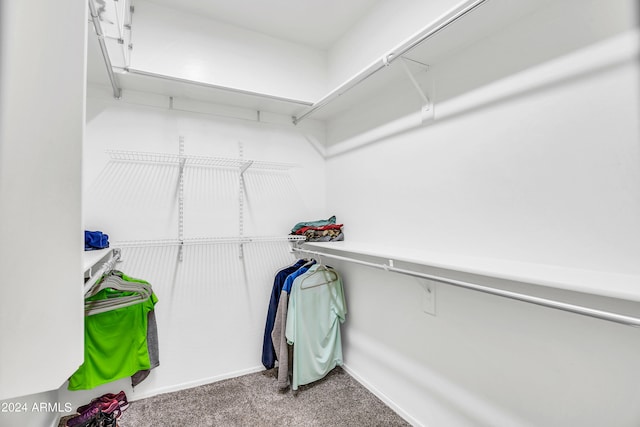 walk in closet featuring light colored carpet