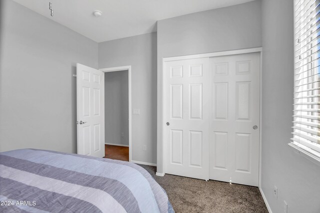 carpeted bedroom with a closet and multiple windows