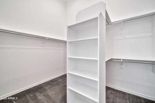 spacious closet featuring carpet flooring