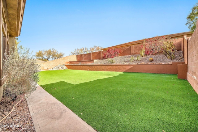 view of yard featuring a fenced backyard