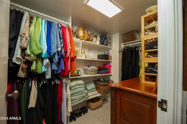 view of walk in closet