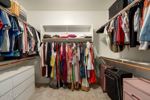 walk in closet with light colored carpet