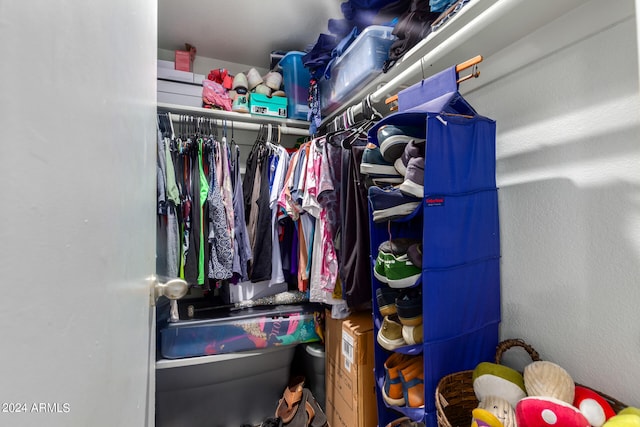 view of spacious closet