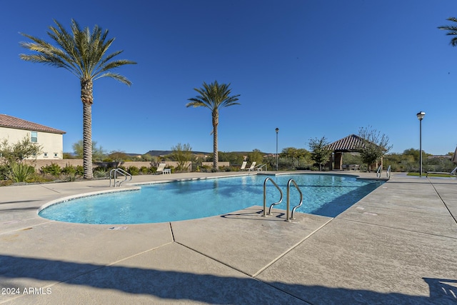 view of pool featuring a patio area