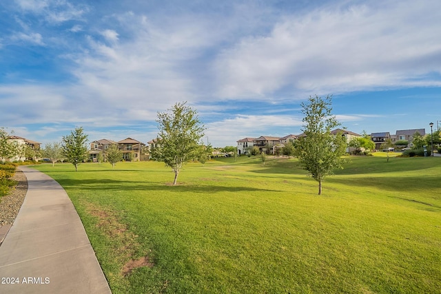 view of community with a yard