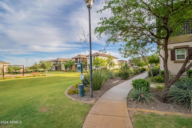 view of community with a yard