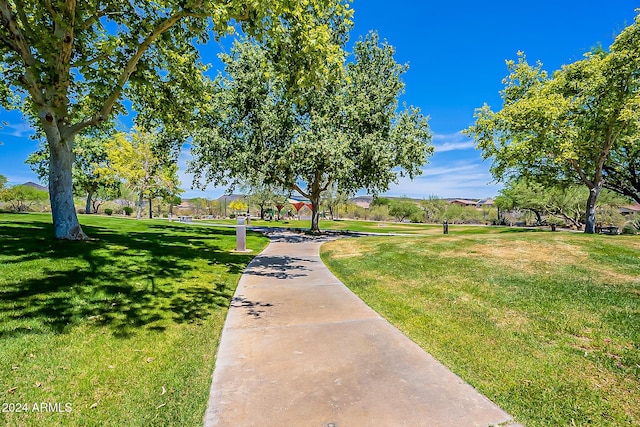 view of home's community with a yard