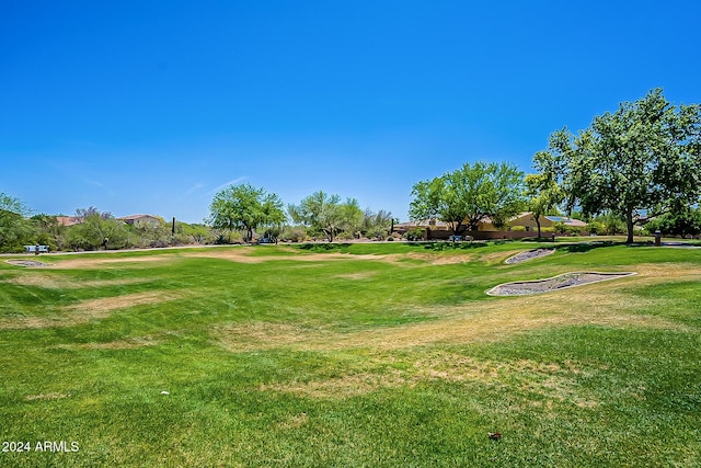 view of community with a yard