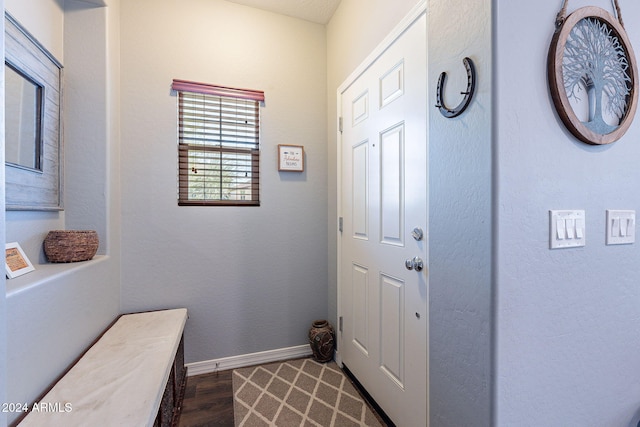 doorway to outside with dark wood-type flooring