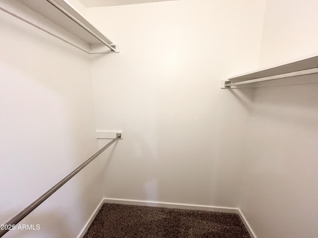 spacious closet with carpet floors