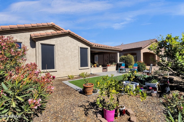 back of house with a patio, a tiled roof, and stucco siding