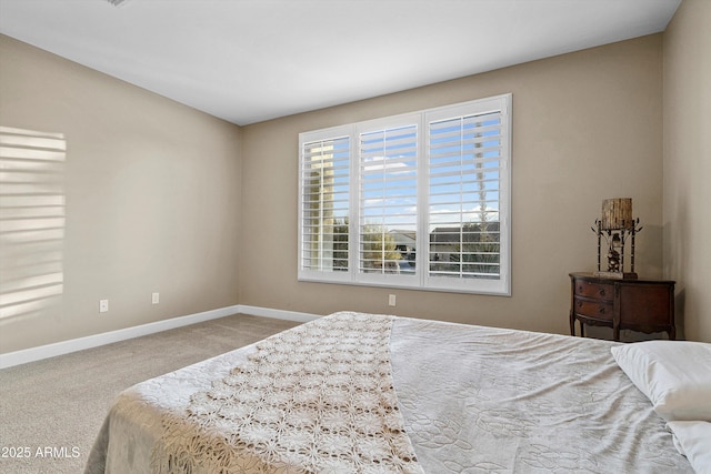 32128 S Bighorn Dr, Oracle, AZ 85623 - bedroom with baseboards and carpet flooring