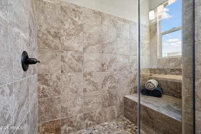 32128 S Bighorn Dr, Oracle, AZ 85623 - bathroom featuring tiled shower