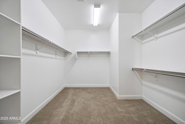 32128 S Bighorn Dr, Oracle, AZ 85623 - walk in closet with carpet