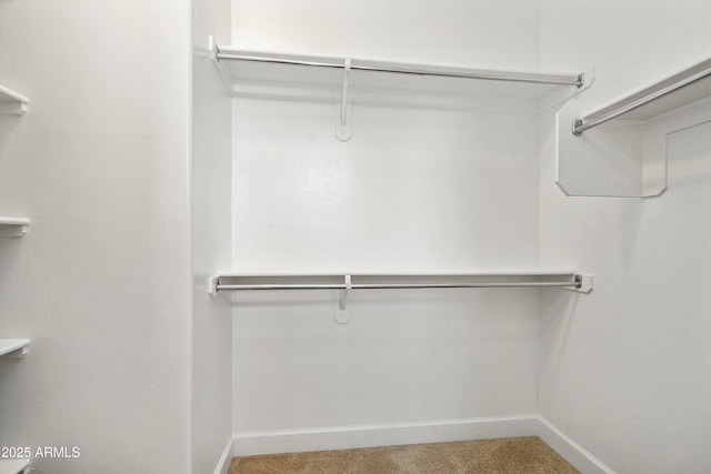 32128 S Bighorn Dr, Oracle, AZ 85623 - spacious closet featuring carpet