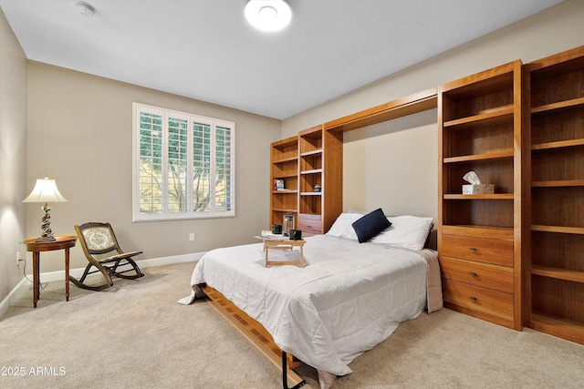 32128 S Bighorn Dr, Oracle, AZ 85623 - bedroom featuring carpet