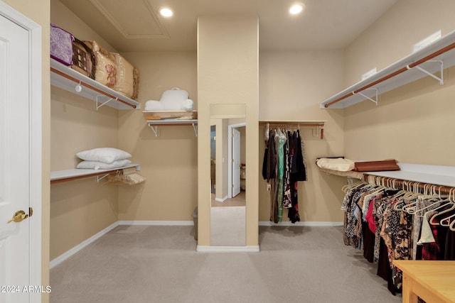 walk in closet with carpet flooring