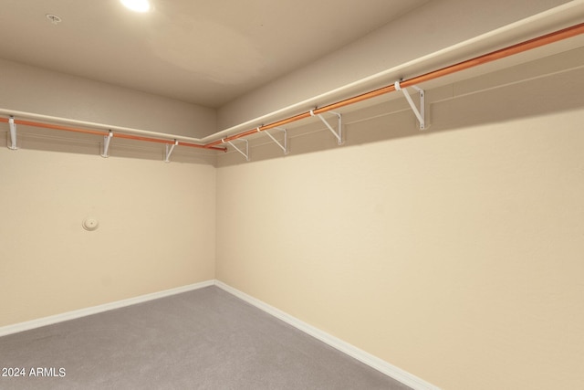 walk in closet with carpet