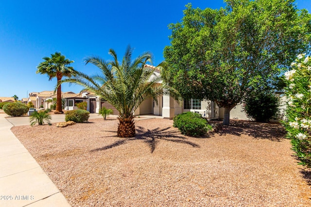 1710 S Aaron, Mesa, AZ 85209 - view of property hidden behind natural elements with stucco siding