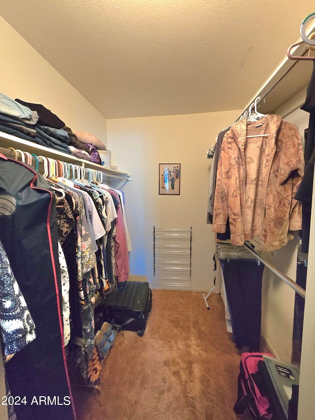 spacious closet featuring carpet floors