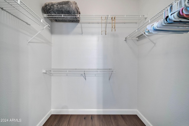 spacious closet featuring wood-type flooring