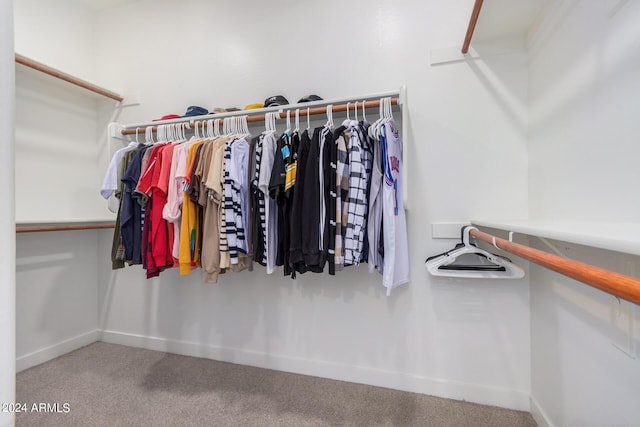 walk in closet with carpet floors