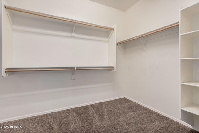 walk in closet featuring carpet floors