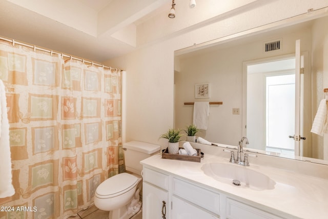 bathroom featuring vanity, toilet, and a shower with curtain