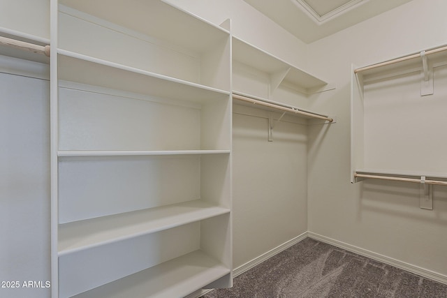 40030 W Bunker Dr, Maricopa, AZ 85138 - walk in closet with dark colored carpet