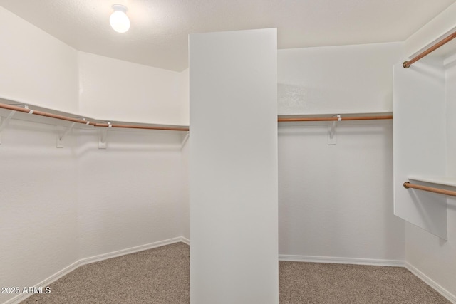 1211 E Desert Flower Ln, Phoenix, AZ 85048 - walk in closet with carpet flooring