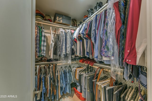 view of walk in closet