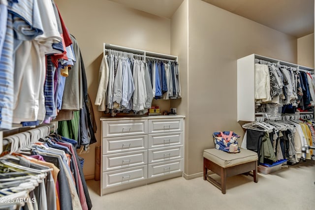 9534 E Monument Dr, Scottsdale, AZ 85262 - walk in closet with carpet flooring