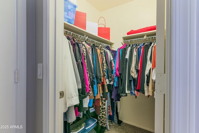 spacious closet with carpet floors