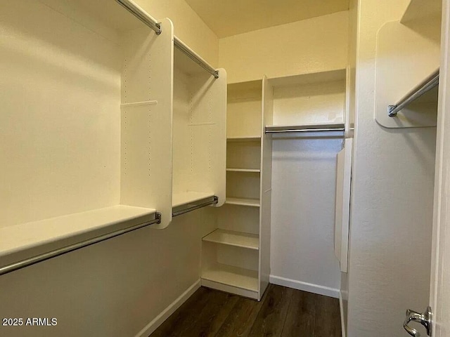 6557 S Classic Way, Gilbert, AZ 85298 - walk in closet featuring dark wood-style flooring